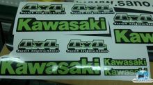Kawasaki TERYX